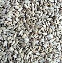 Sunflower Hearts 3kg Bag